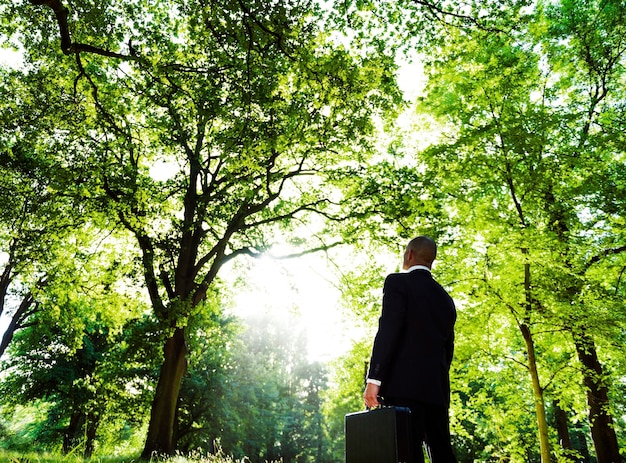 Forest calm leadership coaching